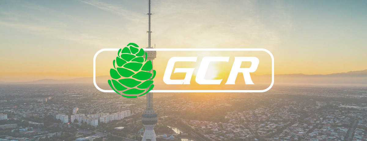 Новые горизонты GCR